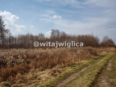 Działka siedliskowa Kryniczno