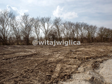 Działka budowlana Kryniczno sprzedam