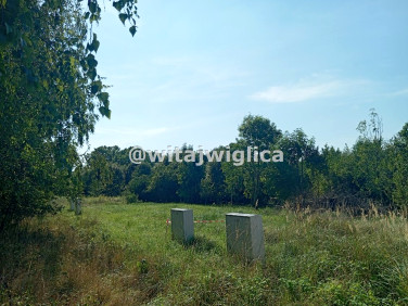 Działka budowlana Iwiny