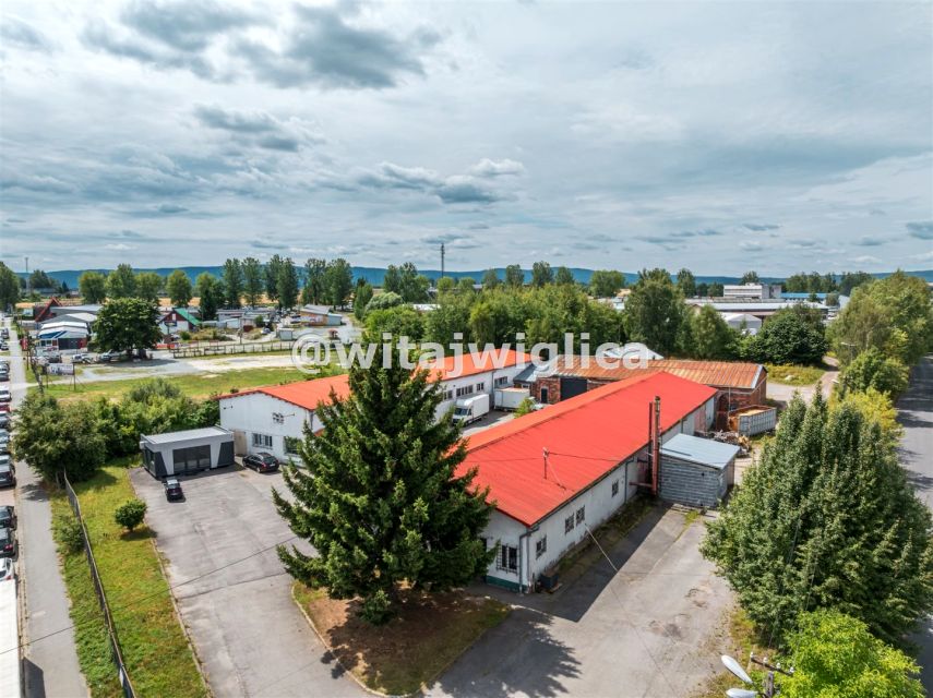 Budynek użytkowy Kłodzko sprzedaż
