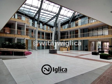 Lokal Wrocław wynajem