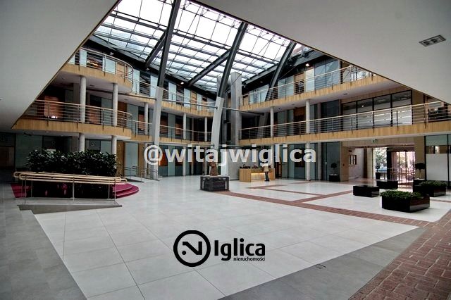 Lokal Wrocław wynajem