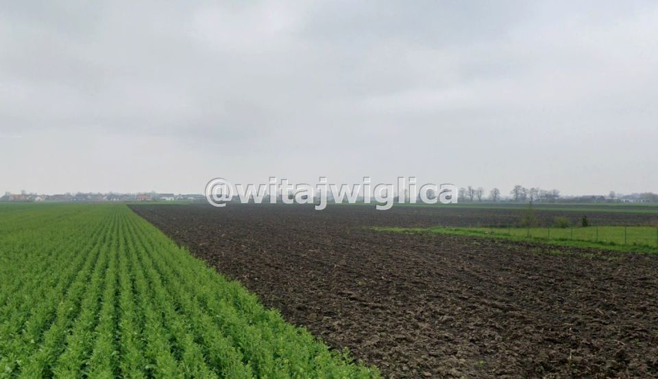 Działka Żerniki Wrocławskie