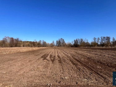 Działka budowlana Bolimowska Wieś