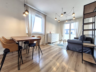 Mieszkanie Legnica wynajem