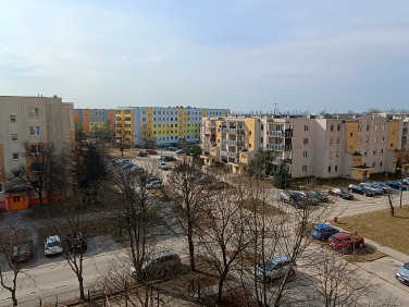 Mieszkanie Aleksandrów Łódzki