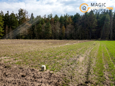 Działka budowlana Kamienica Królewska