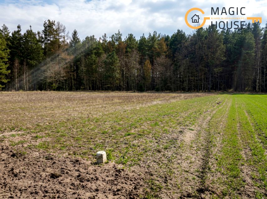 Działka budowlana Kamienica Królewska