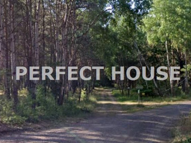 Działka leśna Toczeń