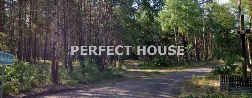 Działka leśna Toczeń