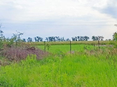 Działka inna Komorniki