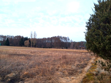Działka budowlana Kornelin sprzedam