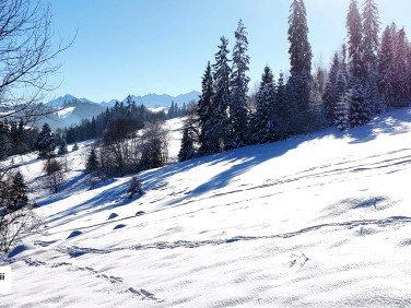 Działka budowlana Gliczarów Dolny