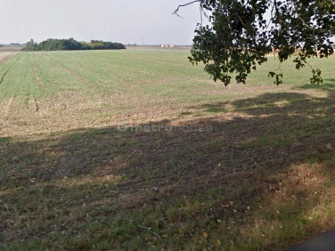 Działka budowlana Zielątkowo