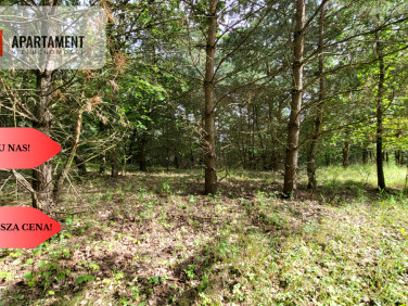 Działka przy lesie