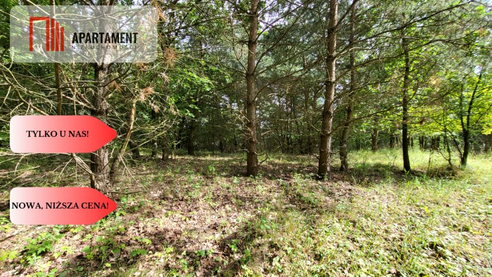 Działka przy lesie