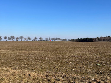 Działka budowlana Brodowo