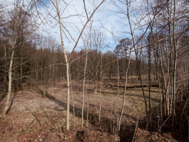 Działka budowlana Pobiedna