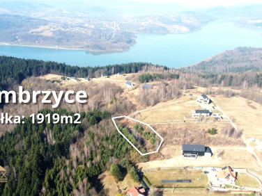 Działka leśna Zembrzyce