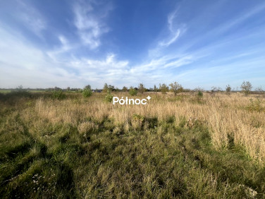 Działka budowlana Kotla