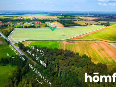 Działka przemysłowa Mazurowice