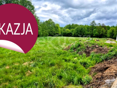 Działka przy lesie