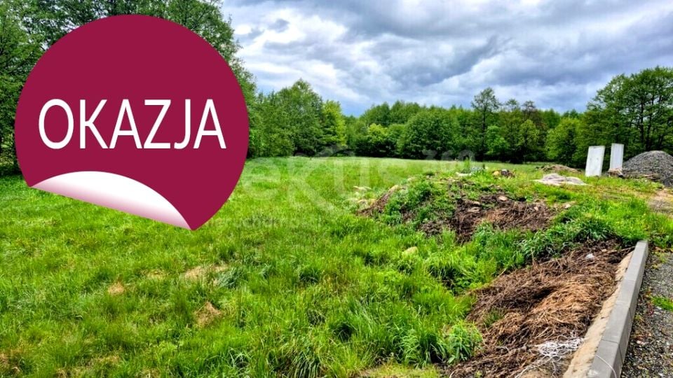 Działka przy lesie