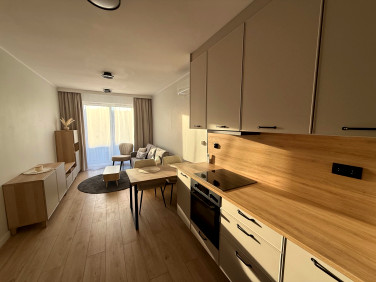 Mieszkanie apartamentowiec wynajem