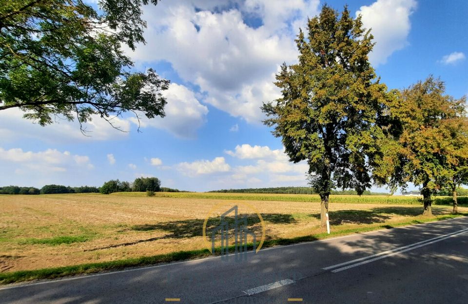 Działka rolna RUDNO