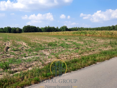 Działka rolna RUDNO