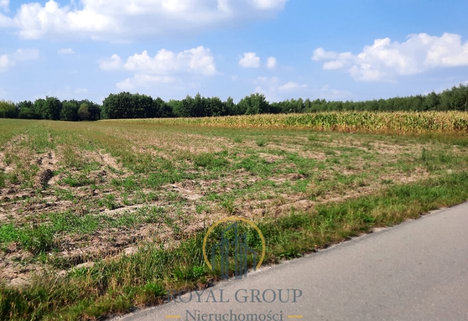 Działka rolna RUDNO