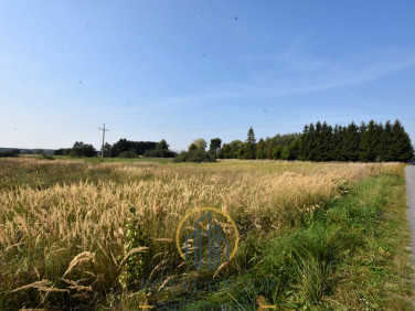 Działka inna KAMIONKA