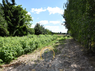 Działka budowlana LUBARTÓW