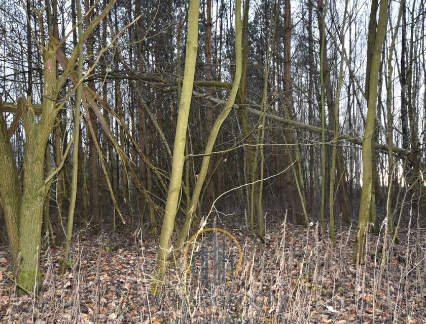 Działka JAWIDZ