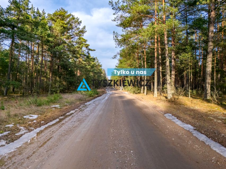 Działka leśna Broda
