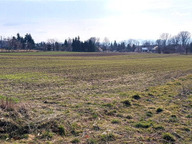 Działka budowlana Uciechów