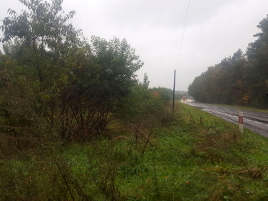 Działka rolna Piotrowo sprzedam