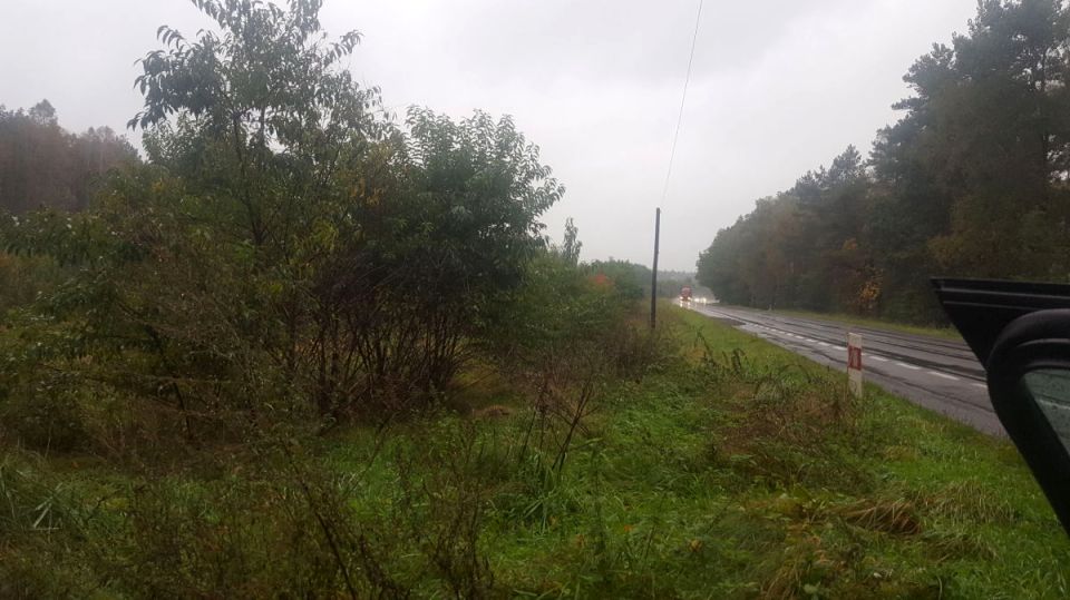 Działka rolna Piotrowo sprzedam