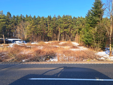 Działka budowlana Bojano