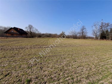 Działka budowlana Jaktorów-Kolonia sprzedam