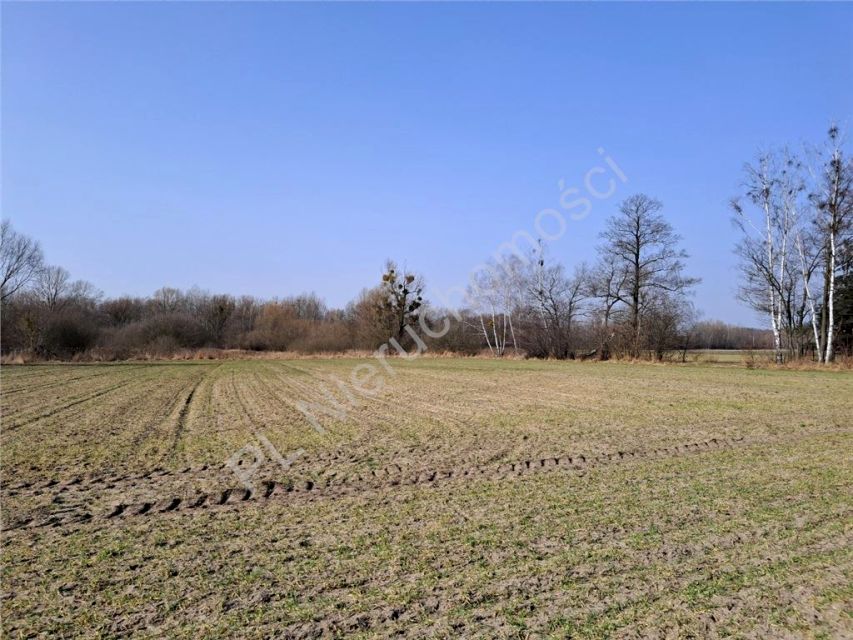 Działka budowlana Jaktorów-Kolonia