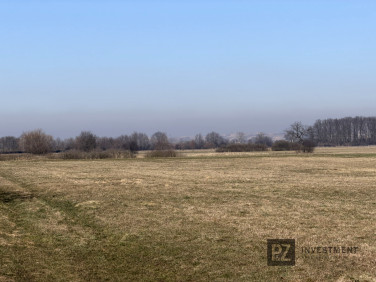 Działka rolna Wola Batorska