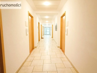 Lokal Lublin wynajem