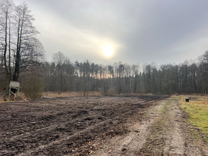 Działka budowlana Pilawa