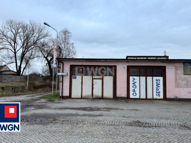 Budynek użytkowy Szprotawa