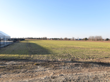 Działka usługowa Lubsza