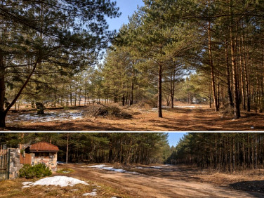 Działka budowlana Woroszyły