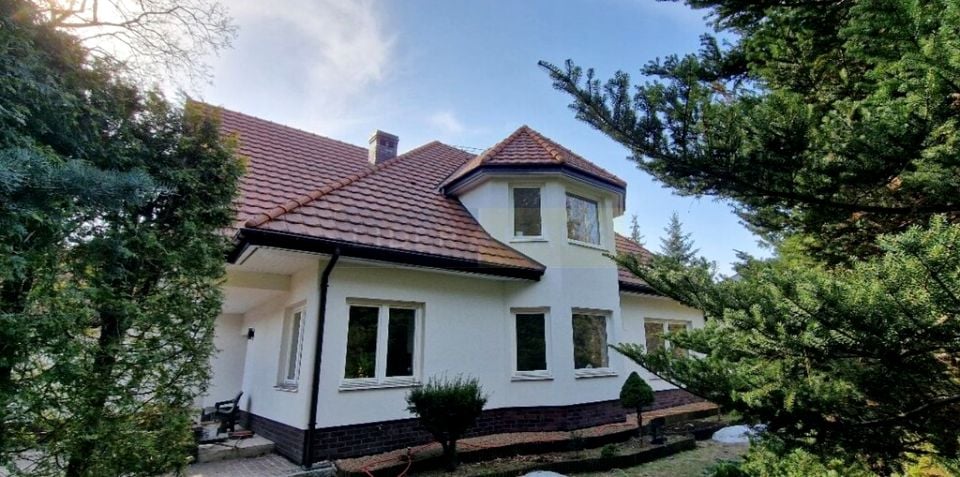 Zdjęcie 3