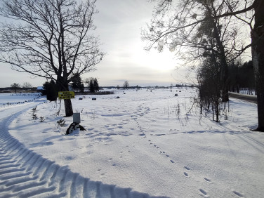 Działka siedliskowa Frączki