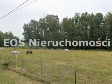 Zabudowana działka Pasikonie